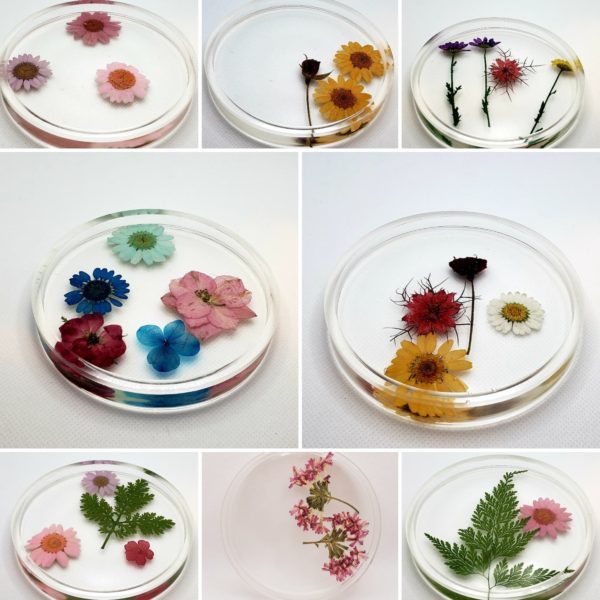 Floral Coasters